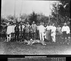 24 Tiger hunting in india Images ...