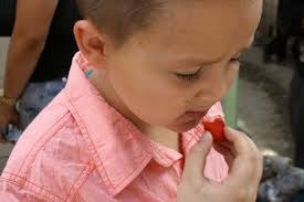 Visiting the Ourika Valley, Morocco with Kids