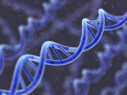 Sie sollen insgesamt knapp 668.000 impfdosen bekommen. Cgrp Impfung Gegen Migrane Schmerzklinik Kiel