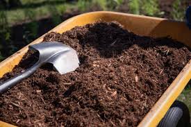 After that, they began the installation of the new stone walls. Your First Garden How To Start A Garden For Practically Free Gardenista