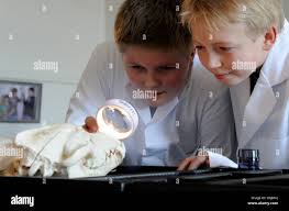 5th grade student hi-res stock photography and images