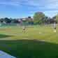 Thursday Night Social Tennis — Frinton-On-Sea Lawn Tennis Club