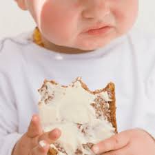 Download All About Bread For Babies My Little Eater