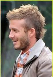 Walter Hafner (walthafner)