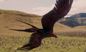 A collection of the top 57 phoenix wallpapers and backgrounds available for download for free. Phoenix Unnatural World Wiki Fandom