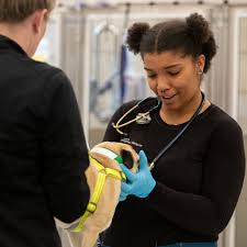 We're Here When Your Pet Needs Us Most