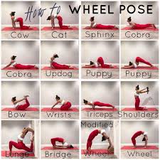 Yoga For The Non Flexible On Instagram Backbends Are The Secret To Youth A Healthy Spine Determines Your Real Age Try These Pos Wheel Pose Bow Pose Poses