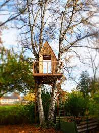 Baumhaus Bauen Baurecht Baugenehmigung Und Vorschriften Thetreehouse Shop