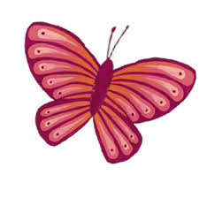 Check spelling or type a new query. Florist Sherman Oaks Santa Monica Same Day Fresh Flower Delivery Shop Wedding Flowers