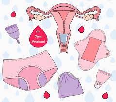Buy silicone/rubber made copa menstrual to preserve your vaginal health. Copa Menstrual Que Tipos Hay Y Cuales Son Sus Ventajas