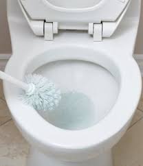 blanchir le fond de la cuvette avec de l acide chlorydrique nettoyage toilette nettoyage de la cuvette des toilettes cuvette toilette