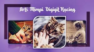 Bahkan mimpi pun biasanya bisa membuat mata anda bergerak dengan cepat saat anda tidur! Inilah Arti Mimpi Digigit Kucing Di Bagian Kaki Atau Tangan Menurut Primbon Kanalmu