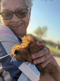 Surprising kids with a blue tick puppy