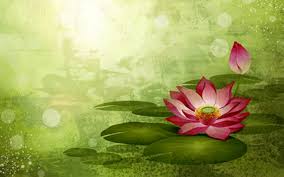 Hot sale logo karate bordir komputer ipsi forki inkai pagar nusa. Waterlily S Philosophy Knowledgexone