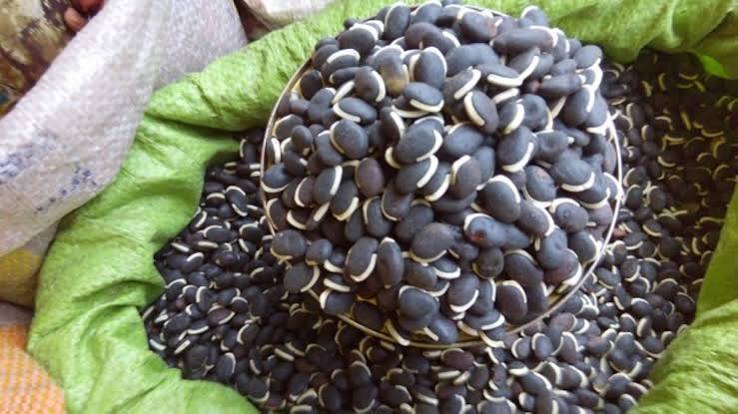 Black Lablab Beans