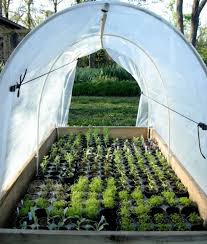 Shop for solexx greenhouse panels at walmart.com. Plastic Greenhouse Covers 3 Ft Wide