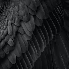 Pin By Sophia On Aesthetic In 2020 Dark Aesthetic Shades Of Black Dark Wallpaper