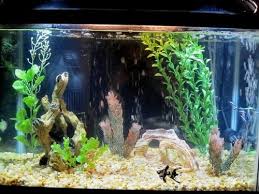 Aquarium decorations, free shipping & low prices, shop now! 20 Diy Aquarium Decor Ideas Neeness