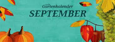 In the northern hemisphere, the beginning of the meteorological autumn is on 1 september. Der Mdr Gartenkalender Gartentipps Fur September Mdr De