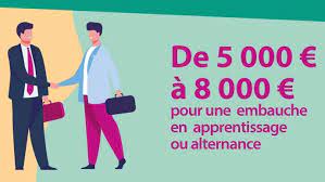 Contrat d'apprentissage ou contrat de professionnalisation. Contrat D Apprentissage Ou Contrat De Professionnalisation Comment Choisir Pour Embaucher Un Jeune En Formation Amarris Direct