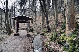 Bodo schiffmann, samuel eckert und ralf ludwig auf dem markt in eisenach. Wandern Durch Die Drachenschlucht Bei Eisenach Wanderung Thuringen