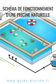 schema piscine naturelle plan fonctionnement et principe de filtration naturelle guide piscine fr piscine naturelle piscine piscine biologique