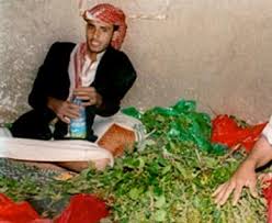 Among communities from the areas where the plant is native, khat chewing has a history as a social custom dating back thousands of years analogous to the use of coca leaves in south am. ØµØ­ÙŠÙØ© Ø§Ù„Ø£ÙŠØ§Ù… Ø¨Ø§Ø¦Ø¹ Ù‚Ø§Øª ÙÙŠ Ø³ÙˆÙ‚ ØµÙ†Ø¹Ø§Ø¡ Ù„Ù€ Ø¨ÙŠ Ø¨ÙŠ Ø³ÙŠ Ø§Ù„Ù‚Ø§Øª Ù‡Ùˆ Ù…ÙØªØ§Ø­ Ø§Ù„Ø³Ù„Ø§Ù… ÙÙŠ Ø§Ù„ÙŠÙ…Ù† ÙˆÙ…Ù† Ø§Ù„ØºØ¨Ø§Ø¡ Ø£Ù† ÙŠØªØ¯Ø®Ù„ Ø£Ø­Ø¯ ÙÙŠ Ù‡Ø°Ø§ Ø§Ù„Ø£Ù…Ø±