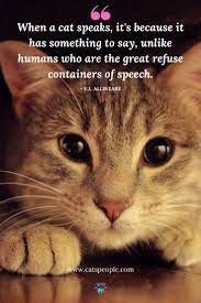 101 Funny Cat Quotes Cat Quotes Cat Quotes Funny Cats In 2021 Cat Quotes Funny Cat Quotes Cats