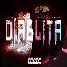 Image result for Manostachya