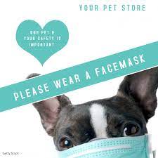 Stop in to the pet zone near you! Adoption Pet Store Covid Face Mask Ad Vorlage Postermywall