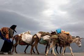 Image result for u202bکوچ ایل قشقاییu202clrm;