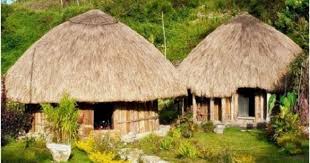 Desain Rumah Adat Papua Modern Di 2020 Rumah Desain Rumah Modern