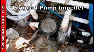 Maybe you would like to learn more about one of these? Clogged Impeller Pool Pump Not Priming Part 4 Youtube