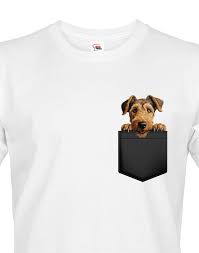 Image result for velšteriér