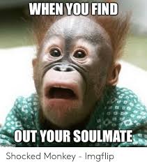 Maybe you would like to learn more about one of these? 25 Best Memes About Soulmate Meme Soulmate Memes