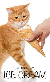 Can Cats Eat Ice Cream A Guide By The Happy Cat Site Cat Site Eating Ice Cream Buy A Kitten
