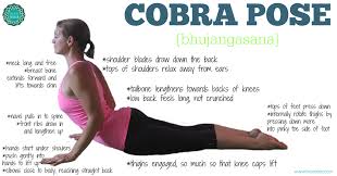 Tips On How To Do Cobra Pose In Yoga Cobra Pose Yoga Cobra Pose Yoga Poses