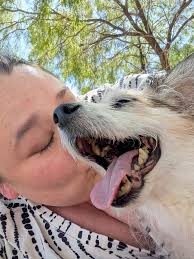 Recognizing Love Your Pet Day for Frosty