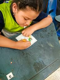 Escuela La Herediana, Siquirres, Limón