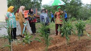 We did not find results for: Warga Desa Kambitin Raya Siap Hadapi Penilaian Program Hatinya Pkk Tingkat Nasional Banjarmasin Post