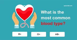 We may earn commission on some of the items you choose to buy. New Trivia Questions Quizzes And Tests Online Quizzclub