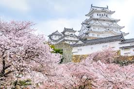 Today, visitors come from all over the world to join in the celebrations that mark the beginning of spring, while admiring the delicate pink cherry blossoms known as sakura. update 2020: What To Know About 2020 Cherry Blossom Season In Japan