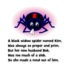 Limericks For Limerick Day Poetry For Kids Limerick For Kids Writing Prompts For Kids