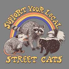 Street Cats Men S Apparel Art Cute Art Art Inspiration