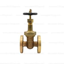Bronze Globe Hose Valve JIS 10K in Dubai & Sharjah | SWBM