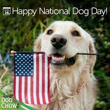 Happy National Dog Day 3 Happy National Dog Day Pet Holiday Dogs