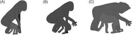 He was found guilty of murder. Communicative Roots Of Complex Sociality And Cognition Roberts 2020 Biological Reviews Wiley Online Library