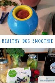 Fido will fall in love. 10 Best Low Calorie Dog Treats Homemade Ideas Dog Treats Homemade Dog Treats Treats