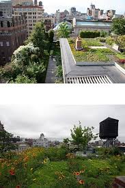 Goode Green Green Roof Design And Installation Dachgarten Garten Dach