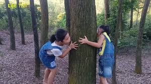 Mv trốn tìm đưa người nghe trở về với những giai điệu xưa cũ của thập niên 1980, 1990 thế kỷ rapper đen vâu vừa bất ngờ phát hành mv trốn tìm. Ä'á»©a Tráº» Bá»‹ Láº¡c Vi ChÆ¡i Trá»'n Tim Trong Rá»«ng Lá»™c Tivi Rá»«ng Bá»‰